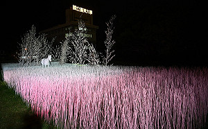 「台東光祭」移師舊站特區！3大精彩作品一路展到2/12