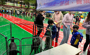 新北動保處與友善動物幼兒園公私協力  幫毛寶貝找新家