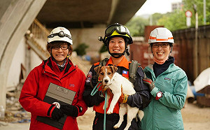 雙北合辦全國犬測 新北獸醫隨隊照護