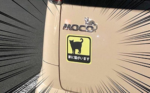 車尾放「黑貓貼紙」有含意!網揭用途籲:獨居奴才都該貼