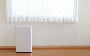 冬日陰雨「除濕機開24小」無效!網提2招必做:效率翻倍