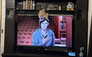 貓愛趴電視機刷存在!意外「與角色頭部融合」 網友笑爆