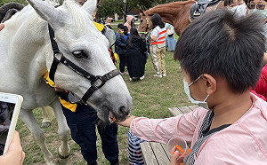 中部唯一有馬廄的大學 東海開辦兒童馬術冬令營