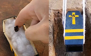 藝術家替昆蟲量身造棺材!目的曝光