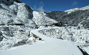 懶人包》寒流追雪去!台灣5大賞雪景點一次看