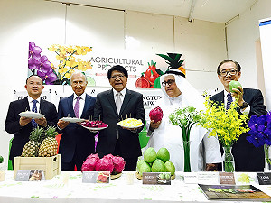 屏東金鑽鳳梨紅到巴林王國  高檔超市試賣