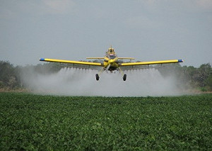 謠言滿天飛 桃園、台中都中招