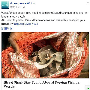 幾內亞查獲逾30袋魚翅  3中國船挨罰85萬歐元