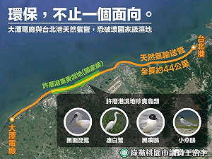 藻礁保育涉多面向 天然氣站落腳地待協調