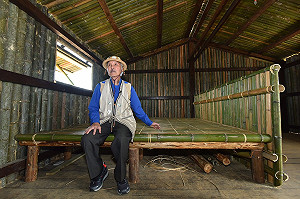 泰雅族竹屋都會現蹤  射日傳說正在這裡蔓延