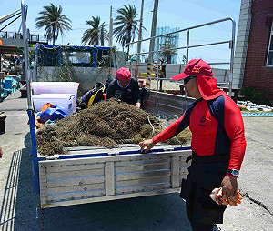 高雄世界地球日淨灘 原來海洋垃圾是這些