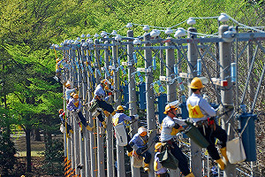 油電糖水去年大賺800億 台電396億居冠