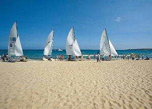 玩屏東能這麼輕鬆？食宿交通APP一指搞定