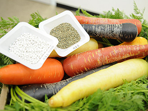 蝦咪？種子居然也要穿新衣！