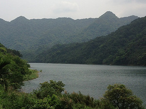 停電頻繁!網瘋猜缺電啟動核三柴油、水力發電?台電澄清了