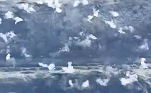 (影) 含24枚子炸彈 依靠動能殺傷目標!烏軍使用了以色列這神器?