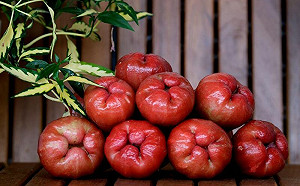 寒流強襲！屏東1農產品損失1758萬