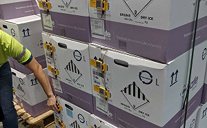 謝志偉譙果董「為什麼BNT臨時喊卡 你不知道嗎」