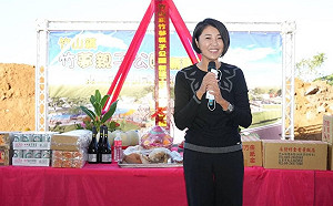 南投許淑華小內閣名單7成留任  盧秀燕借將 建設處長職缺待補