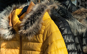 穿毛衣更冷！羽絨外套搭薄上衣最暖