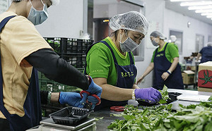 樹冠永續》農緯果菜靠著源頭管理  更衝出成長好業績 (下)