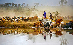 藝術萬花筒！多種藝術類型在新北435藝文特區一次看！ 