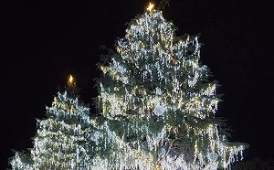 一圖搞懂平安夜天氣！氣象局：中部以北低溫下探至6度