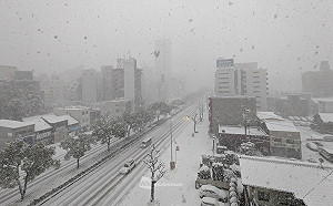 日本北海道青森等地大雪成災 已知9死48傷