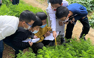 台美生態學校表揚 新北累計36校獲認證 