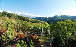 迎接2023好去處！東勢林場「這時段」入園享優惠