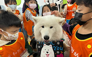 幼兒園師生比調到1比12  教育團體籲：分齡調整、檢討準公幼 