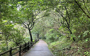 新北五股水碓觀景公園  城市光景盡收眼底