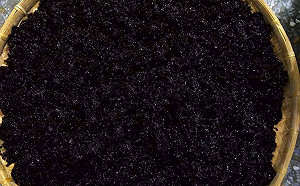 小寒時節大海的餽贈-黑金寶藏小紫菜  新北市府籲多享用  