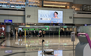 機場恐癱瘓！機師工會：桃勤春節罷工投票「勢必會通過」