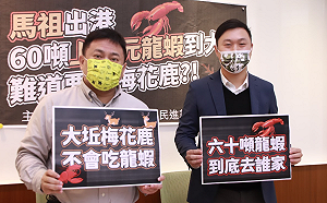 揭走私60噸市值2億龍蝦 洪申翰、李問批縣府縱放包庇