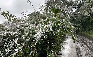 2禁忌勿犯！小寒習俗、養生秘訣曝
