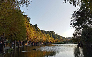 一週天氣一圖看！週末乾冷下探13度 「這天」偏東風變回濕冷