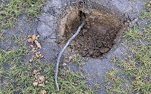 12億元新竹棒球場整建 監委去10月已申請自動調查