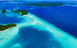 去帛琉帶錯防曬乳慘！遭查獲罰3萬