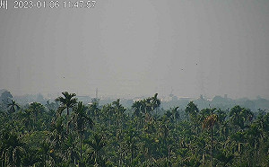 第3期「溫室氣體階段管制目標」何時公布？環境部說話了