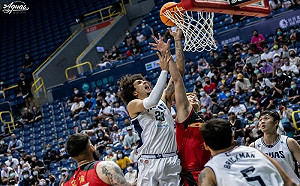 波捍能對政治感興趣　關心台灣選舉