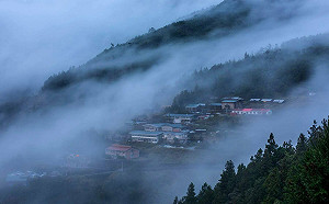 感受山林之美！太平山5大春節旅遊攻略看這邊