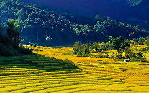 有望免簽飛泰國了？泰駐台代表：正在研商中