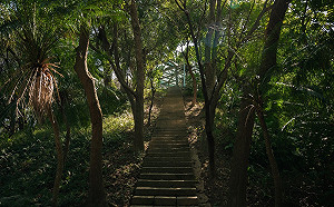 不論登山或玩公園 新北中和錦和運動公園一次滿足 