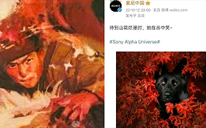 躺槍？Sony一篇黑狗照被指「辱華」恐罰款百萬人民幣