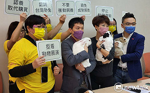 別讓兔兔受苦！跨黨派立委替兔子請命「拒活體贈品」