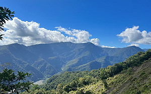 春節遊大武山注意！林務局：需提前申請取得許可