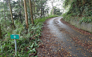 春節登山注意！南投11林道現況公開：2路段崩塌