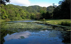 颱風、豪雨接連影響！福山植物園休園再延至4/30