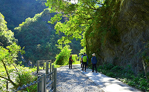 遊太魯閣注意！「白楊瀑布」邊坡落石崩塌  僅開放至第一觀景台